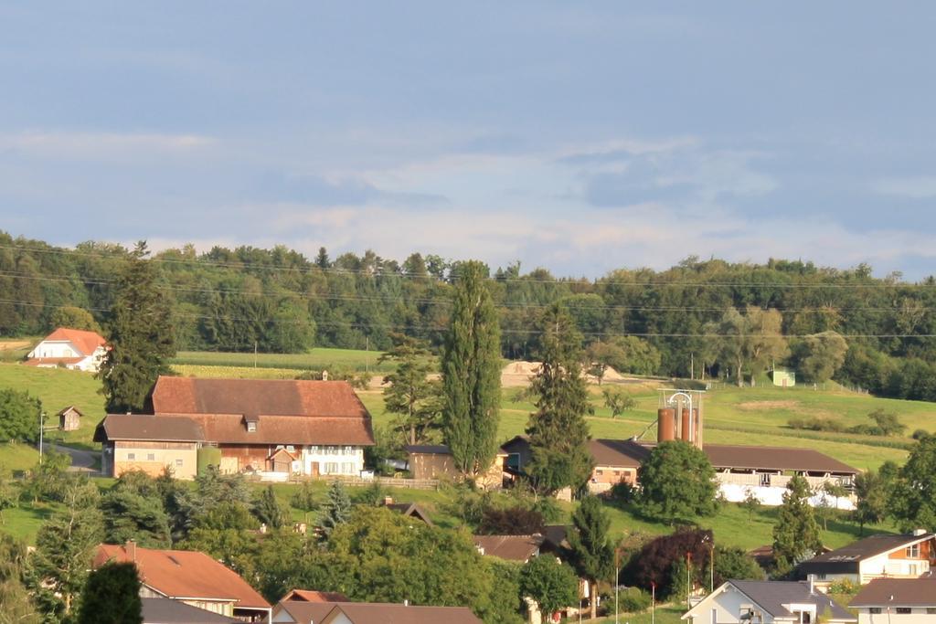 Apartmán Hof Oberprehl Murten Exteriér fotografie